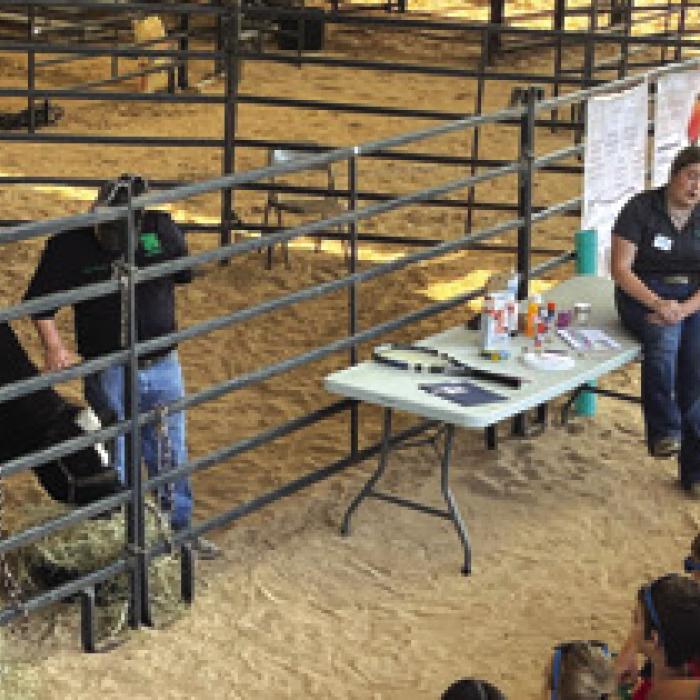 2024 Fayette County Farm Bureau Ag Day