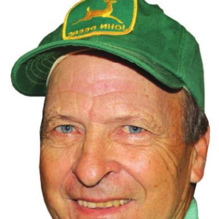 When Hay Supply Got Low – Time for Corn Tops!