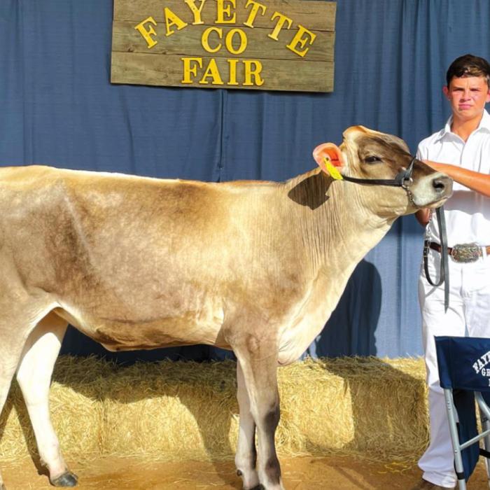 Annual Fayette County Fair Livestock Results