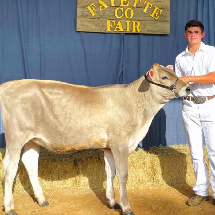 Annual Fayette County Fair Livestock Results