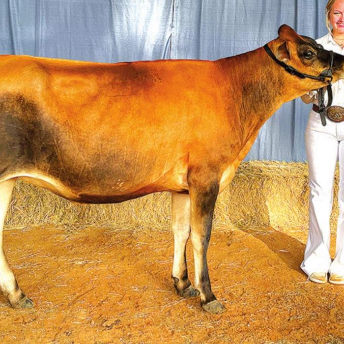 Annual Fayette County Fair Livestock Results