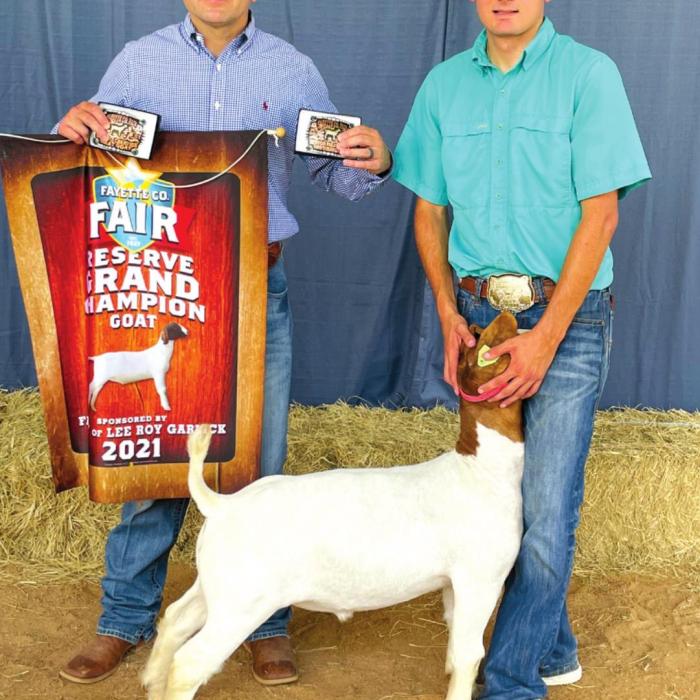 Annual Fayette County Fair Livestock Results