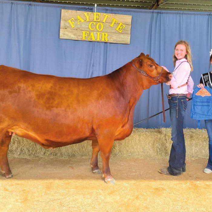 Annual Fayette County Fair Livestock Results