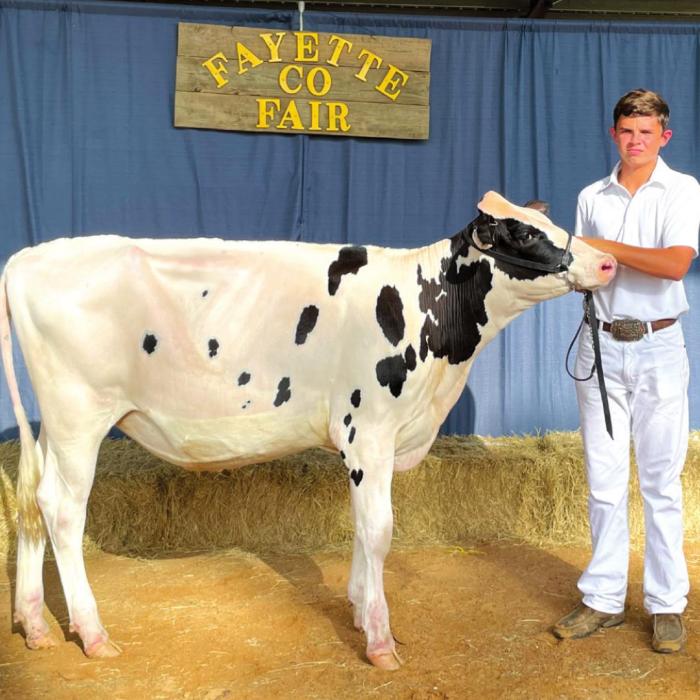 Annual Fayette County Fair Livestock Results