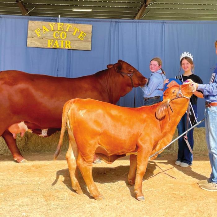 Annual Fayette County Fair Livestock Results