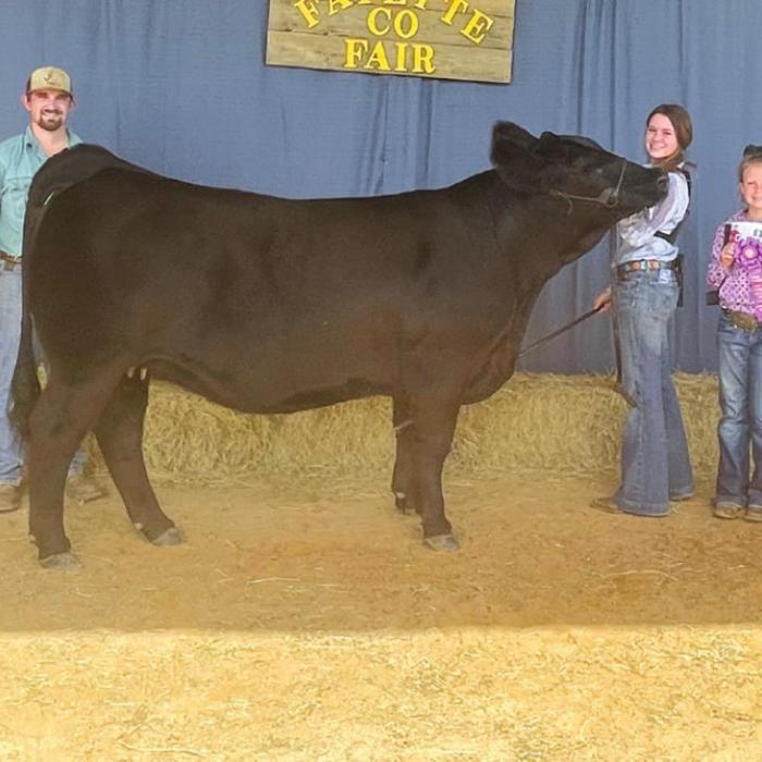 Annual Fayette County Fair Livestock Results
