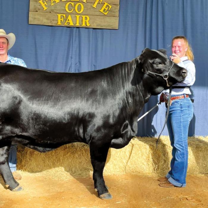 Annual Fayette County Fair Livestock Results