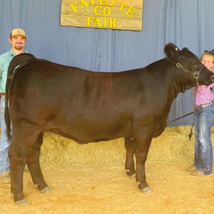 Annual Fayette County Fair Livestock Results