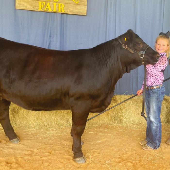 Annual Fayette County Fair Livestock Results