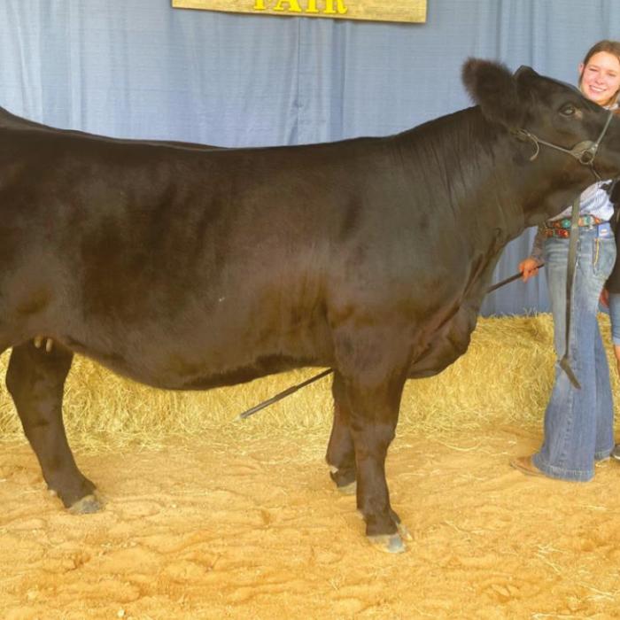 Annual Fayette County Fair Livestock Results