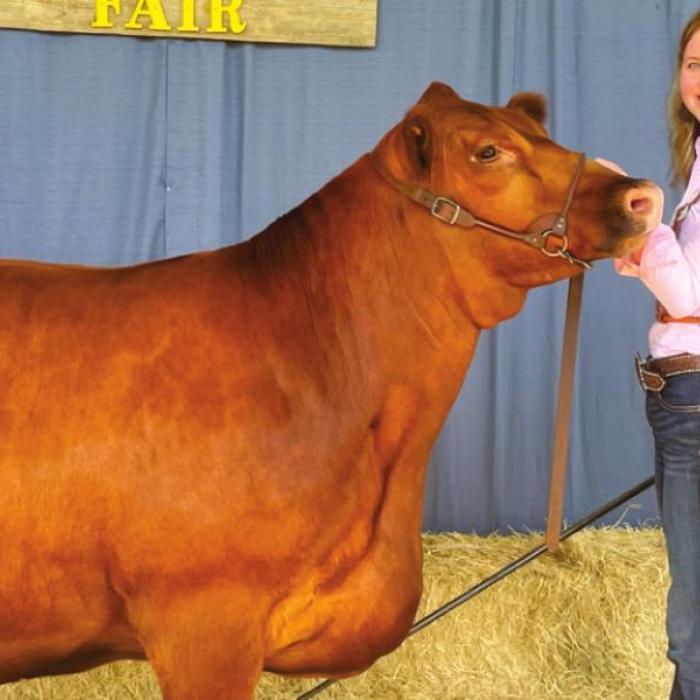 Annual Fayette County Fair Livestock Results