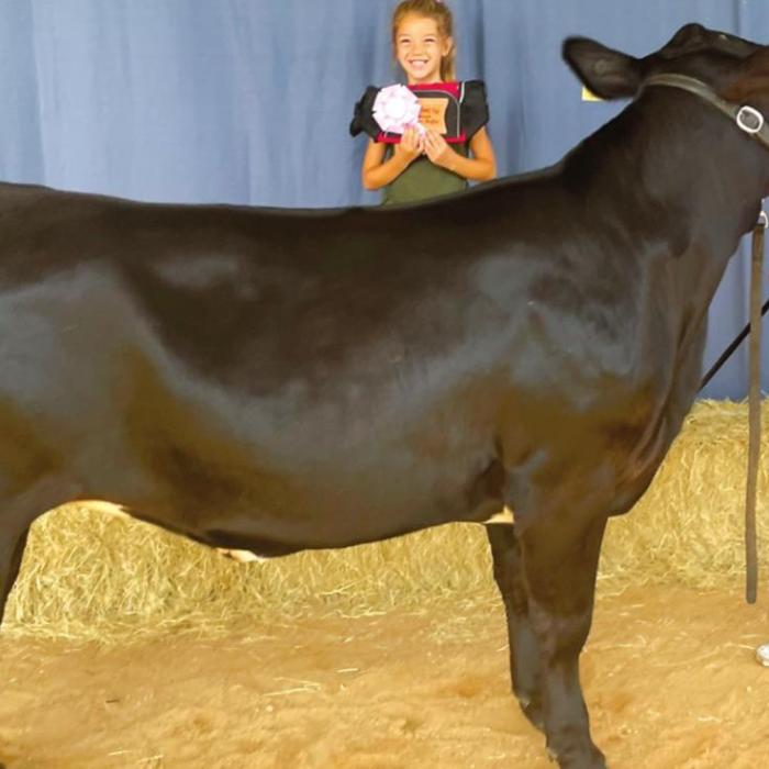 Annual Fayette County Fair Livestock Results