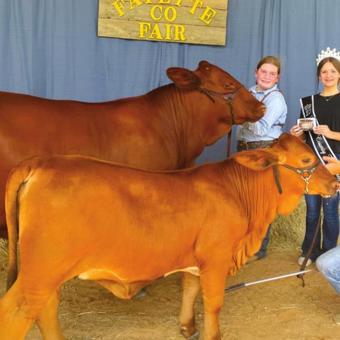 Annual Fayette County Fair Livestock Results