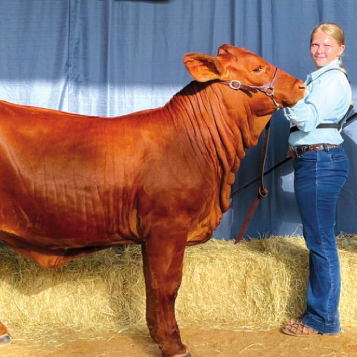 Annual Fayette County Fair Livestock Results