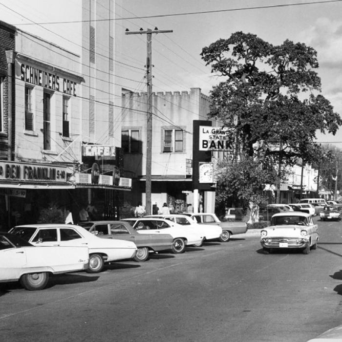 Prompted by concern about the health of the historic Muster Oak on the northeast corner of the courthouse square in La Grange, city council approved a restoration/preservation effort. Photo courtesy of Fayette Heritage Museum and Archives