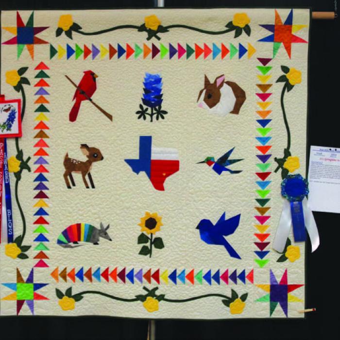 Past Show Chair - Artisan, Sharon Haechten