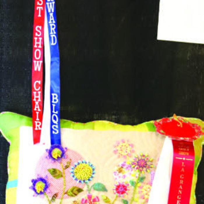 Past Show Chair - Professional - Kathi Babcock People’s Choice Award - Anita Todd