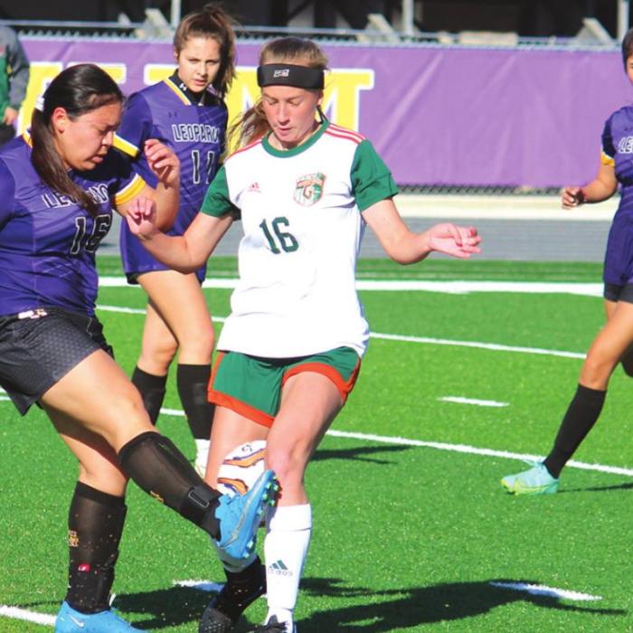 Lady Leps Battle Gateway in Playoff Warm-Up