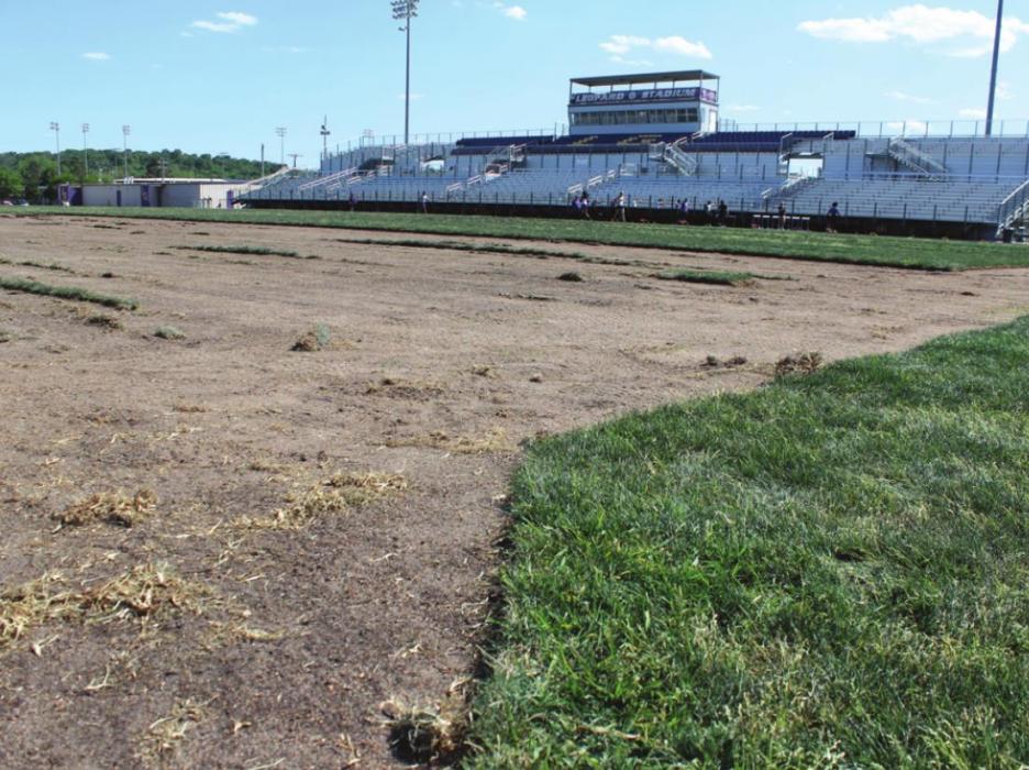 Grass is currently being removed at Leopard Stadium and being replanted at the elementary in advance of artificial turf work. Photo by Jeff Wick