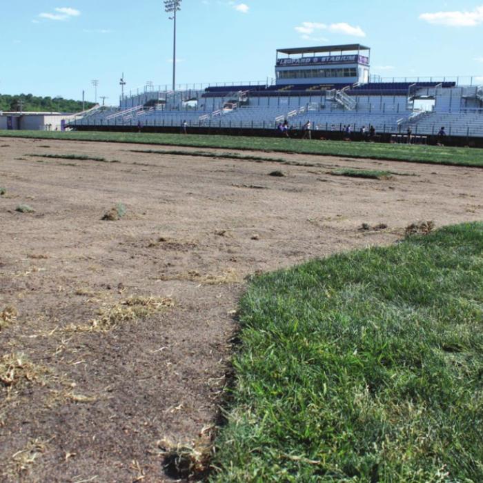 Grass is currently being removed at Leopard Stadium and being replanted at the elementary in advance of artificial turf work. Photo by Jeff Wick