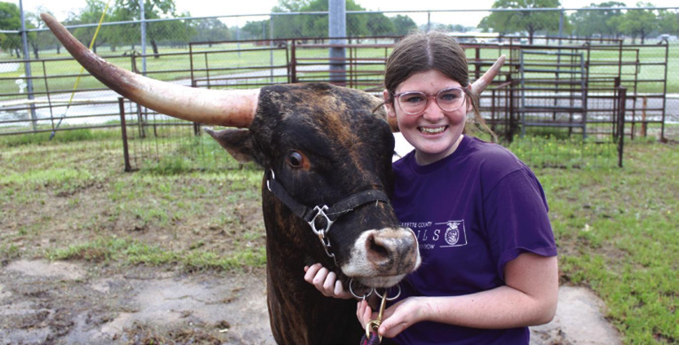 Jaden Melton of La Grange gives her longhorn Betty a hug while getting her prepped for the show Friday. Jaden’s dad said they had to get special permission to show a longhorn here, and he was told this was the first-ever longhorn shown at the Fayette County Show. Jaden was able to purchase Betty after catching a calf in the scramble at the Fort Worth Stock Show.