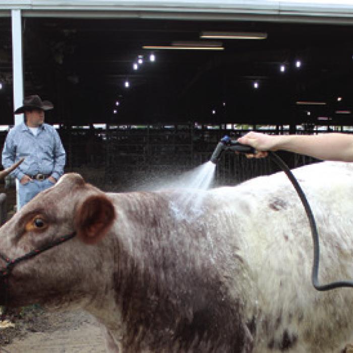 Fayetteville senior Cash Smith hoses off his entry before Friday’s show.