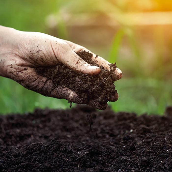 Get Your Beds Ready for Fall Planting