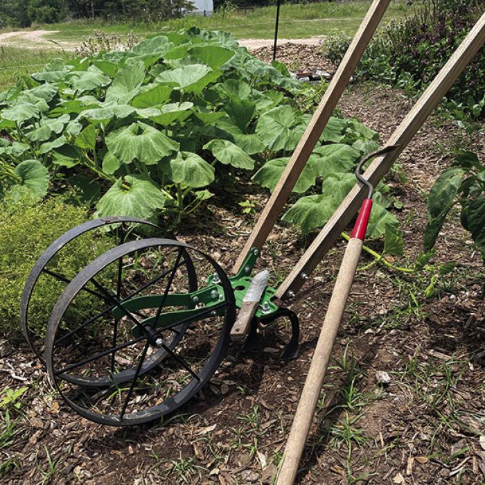 This wheel hoe from Hoss Tools has helped me greatly with keeping weeds under control. Leaning next to it with a singletine cultivator, a great little tool for cultivating small weeds under established plants. The knife-looking tool sitting on wheel hoe’s green tool bar is just a spade. Everyone needs a spade.