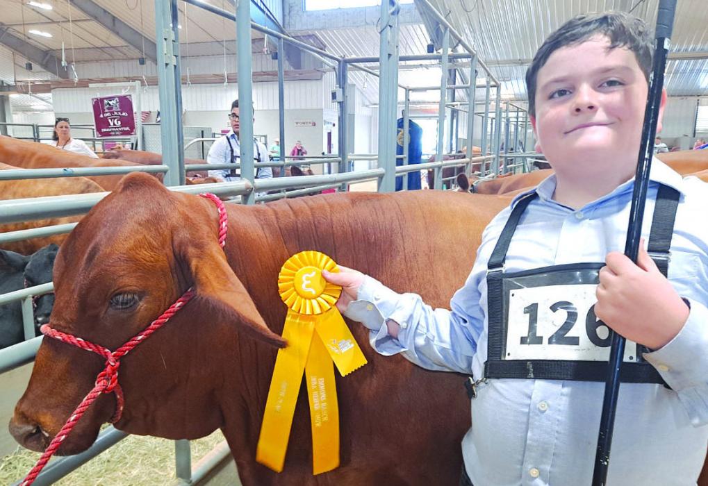 Rilan Karisch recently competed and placed in the Emmons Ranch JBBA Cattle Show.