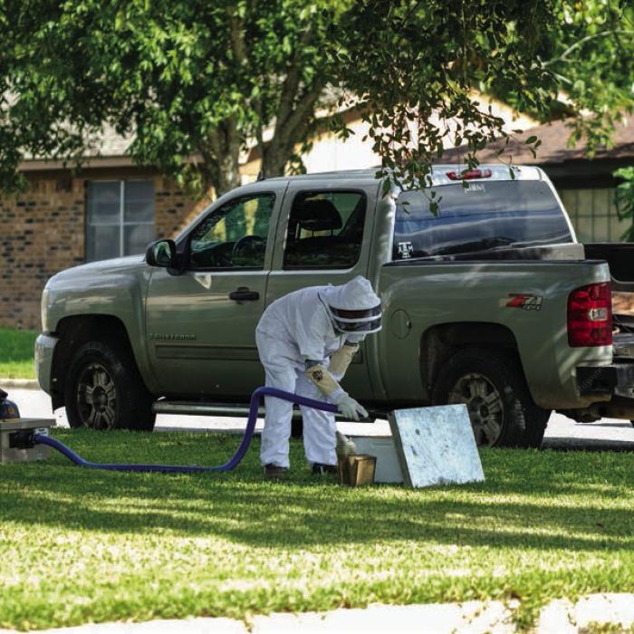 Local beekeeper Don White uses a homemade vacuum contraption to remove a hive of honeybees from a yard at the corner of Horton St. and Reed St. in La Grange. La Grange Animal Control Officer Dean Ahlschlager called on White after the bees moved into a water meter at the property. White said the vacuum sucks up the bees and transfers them to a cage unharmed. White relocated the hive to his place in the country, where they will go to work for him making honey. Staff photo by Andy Behlen