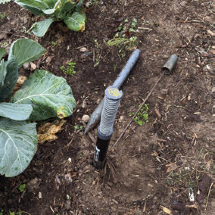 At left, the Gopher Hawk trap with a dispatched gopher hanging off the end of it. At right, the Gopher Hawk trap sticking out of an underground tunnel, along with the metal probe and wedge tool that can be purchased as a kit.
