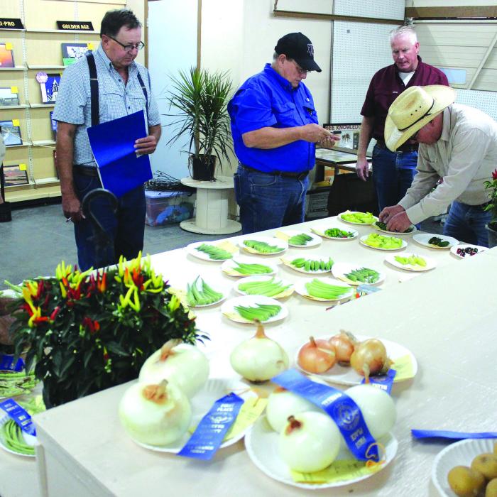 Judging last week of this year’s vegetable and crop entries. Photo by Jeff Wick