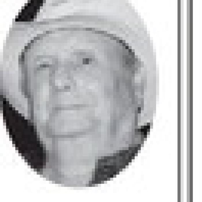 Alt Text for Image