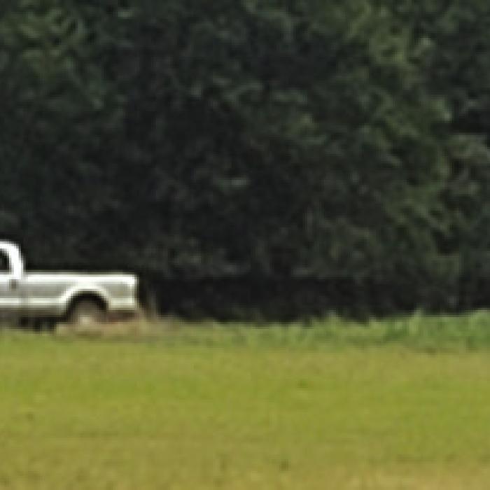 Members from the Austin County Special Response Team, right, approach the stolen vehicle and trailer, left, Wednesday off Old Plum Highway and Egypt Road.