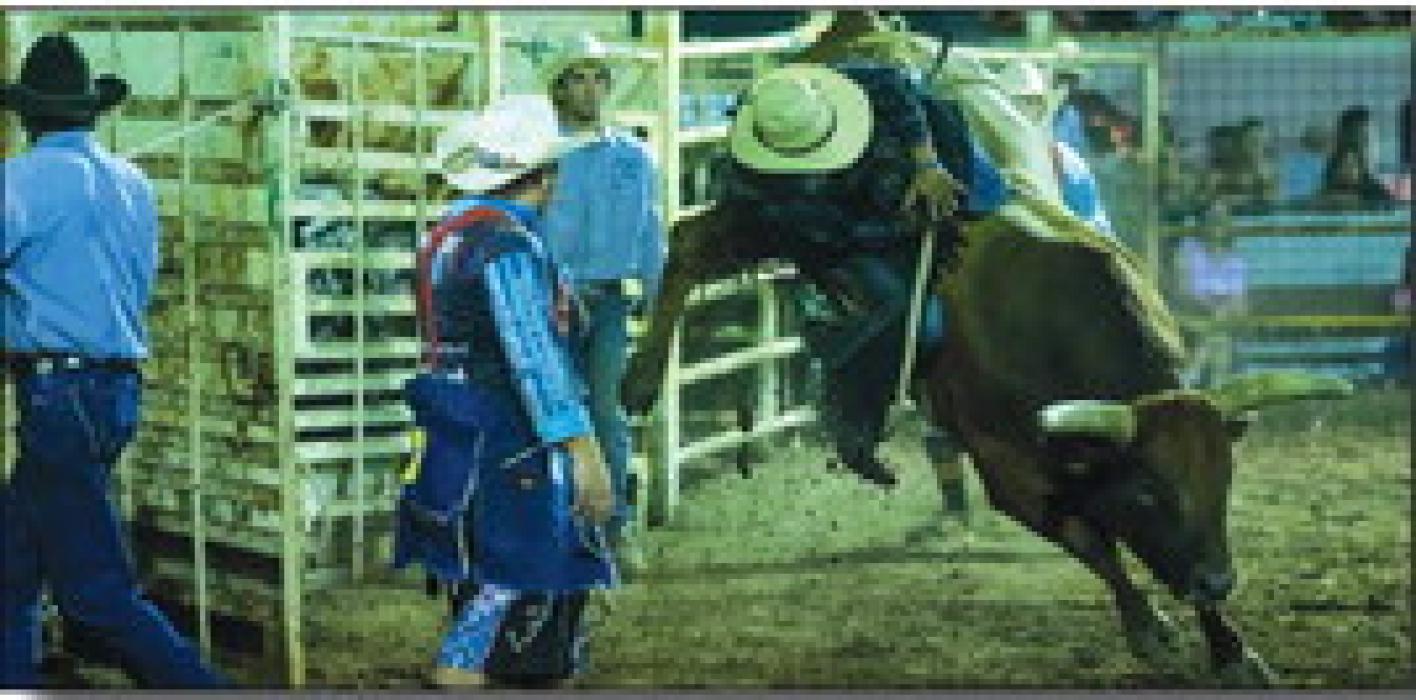 Rodeo bull riding action from Friday night.