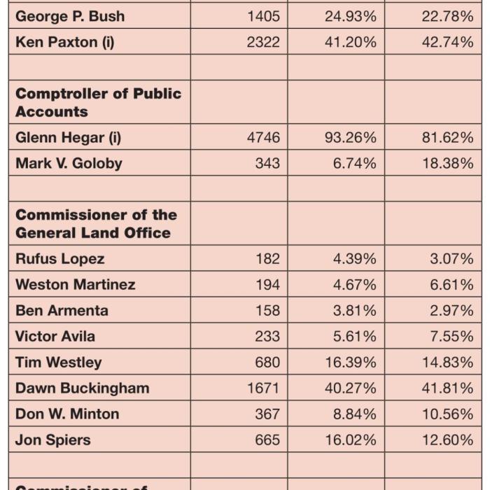 Fayette County Primary Vote Totals