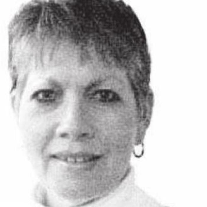 Ellinger Residents Meet to Hear Incorporation Plan