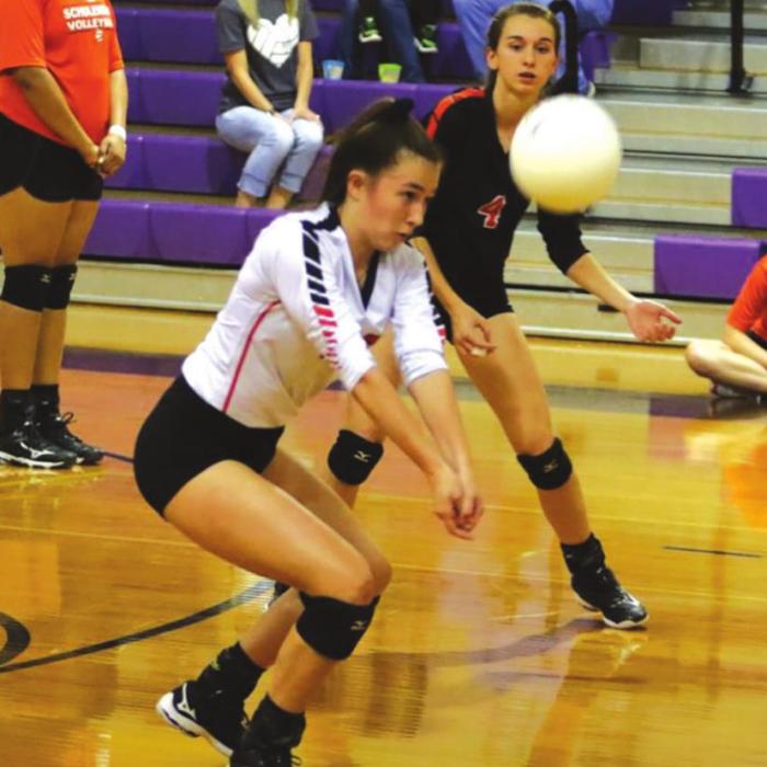 County Volleyball Teams Keep Rolling