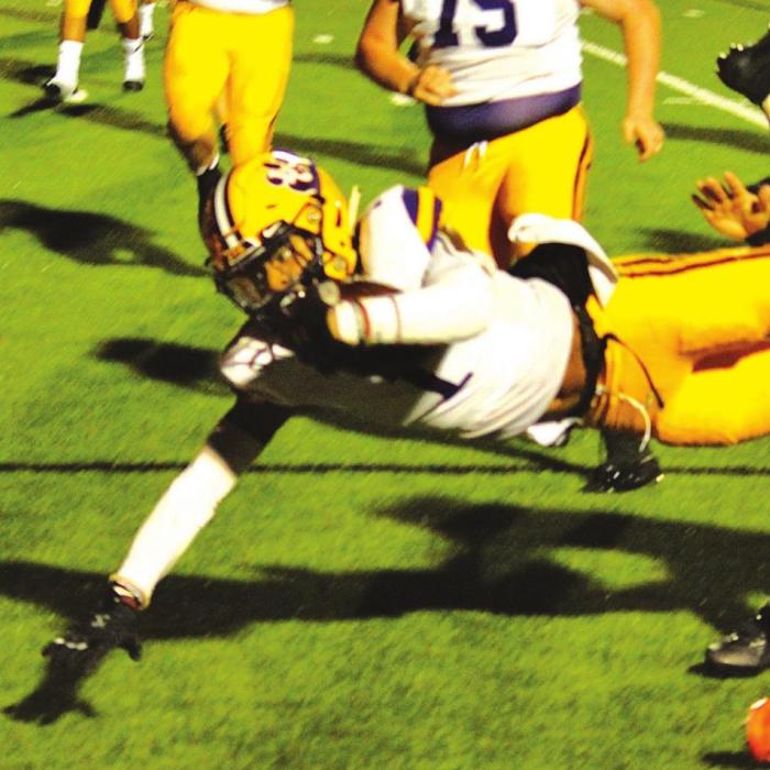Accolades Rolling in for Rogers