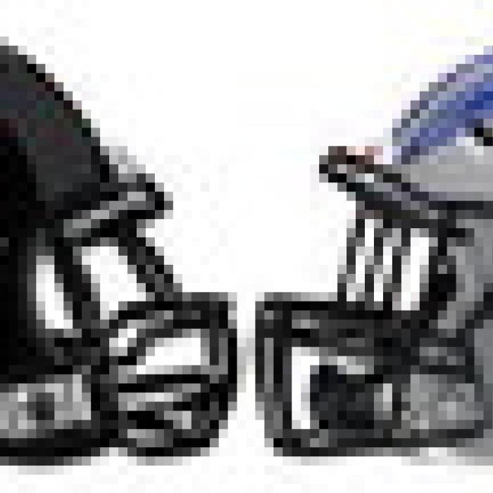 Schulenburg vs. Randolf