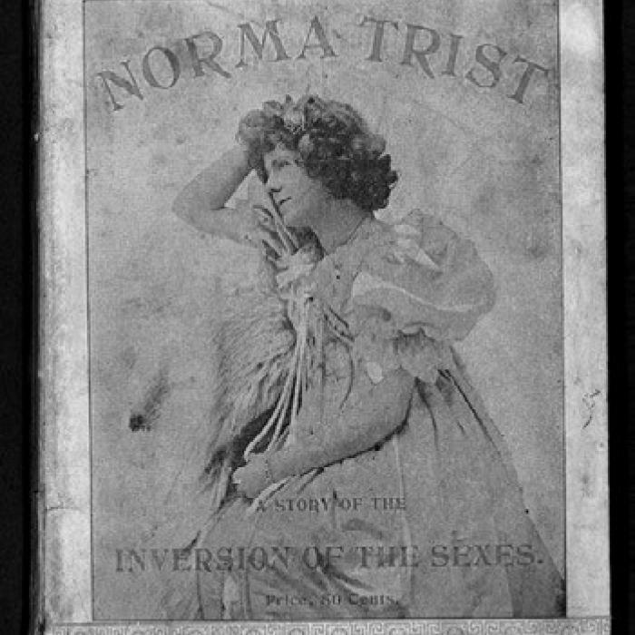 Front cover the 1895 edition of Norma Trist (via OutHistory)