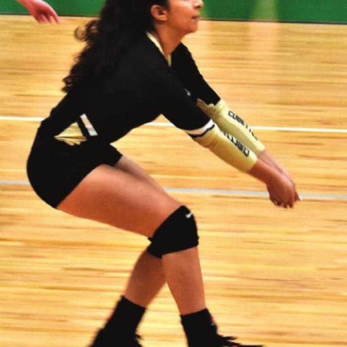Round Top-Carmines Ilse Salinas digging a ball in Saturday’s regional final. Photo by Paul Kipp
