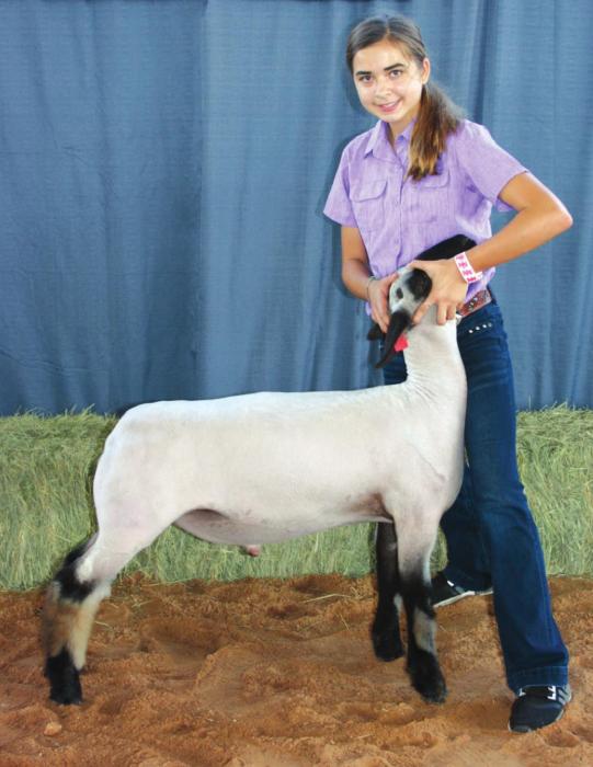 Fayette County Fair Lamb Show Results