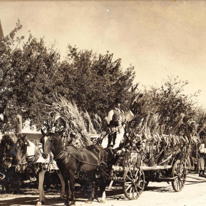 A Harvest Festival parade in Hostyn from the late 1930s with the wooden dancers being pulled behind a cart.