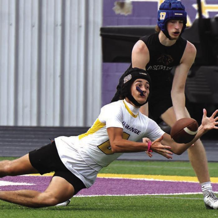 La Grange’s Ethan Prasek makes a nice diving catch Friday. Photo by Darrell D. Gest