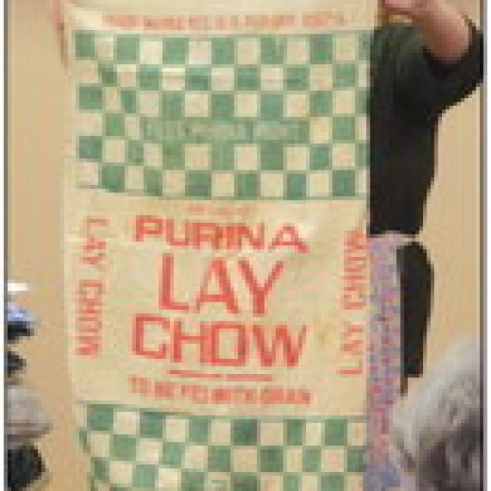 Quilt Guild Goes Down Memory Lane
