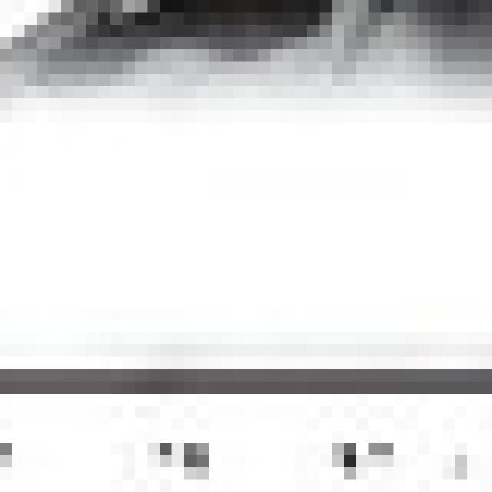 Alt Text for Image