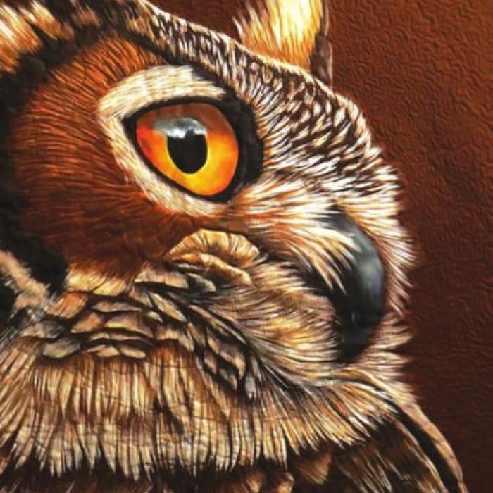 Two Free Lectures Spotlight New Exhibits at Quilt Museum