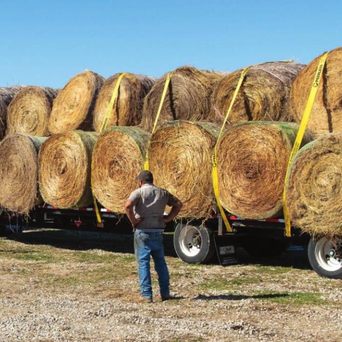 Local volunteers at the Colorado River Cowboy Church loaded an 18-wheeler with hay destined for ranchers is Eastland County devastated by recent fires. Photo by Andy Behlen