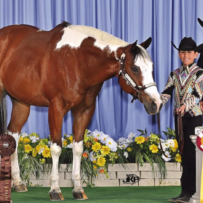 Left to right above at the Pinto World Championship Show in Tulsa, Oklahoma are Francesca Reza and her horse Heaven Senta Heathen and Tina Kallus. In the photo to the right are – Garrett Kallus and Brooklyn Lewis and their daughter Tinlee Kallus with her horse OBG Mr Guided Chip, Tina Kallus and Teagan Kallus and her horse Extra Options R Good.